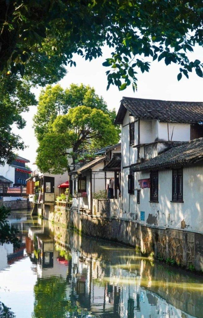 捋线寻珠、笃行不怠，踏寻津郊历史印记